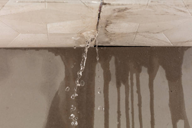 Professional Sewage Cleanup technician working in New Holland, OH
